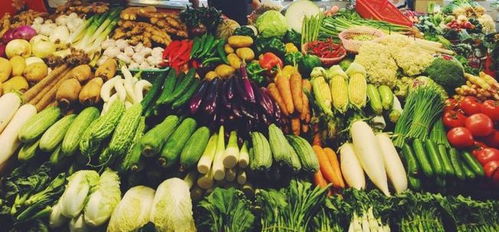 野菜尝鲜需谨慎，小餐饮安全莫忽视