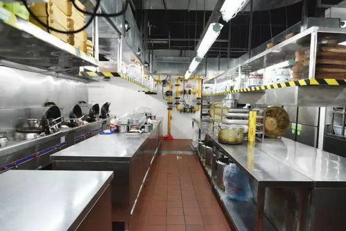 吃货福音 大沥嘉洲广场荣获“广东省餐饮服务食品安全示范街”称号，引领小餐饮新风尚