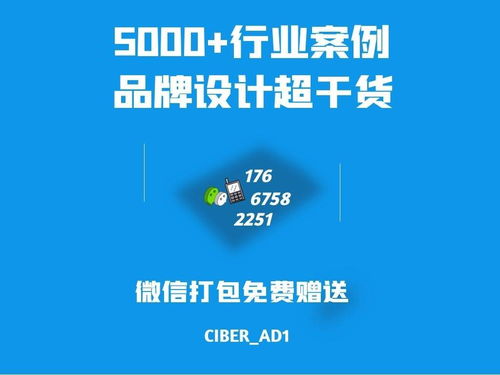 专业品牌logo设计与企业形象策划 赋能企业发展的隐形资产