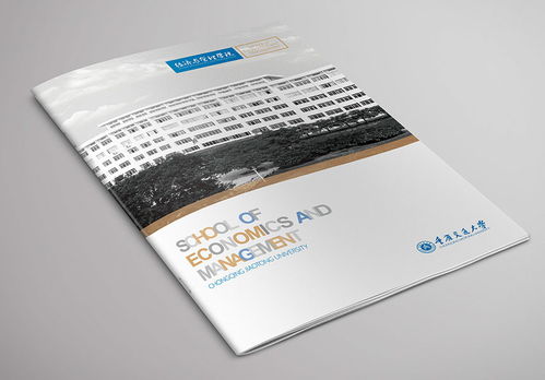 画册设计与企业形象策划 如何选择专业设计公司并打造独特视觉体验